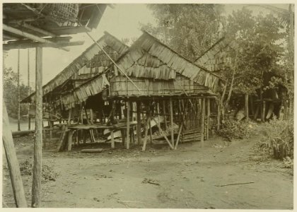 KITLV - 25702 - Demmeni, J. - Houses of the Ma Tuan in Long Dèho, with a gallery beneath the floor of the housing, Upper Mahakam, Central Borneo - 1898-1900