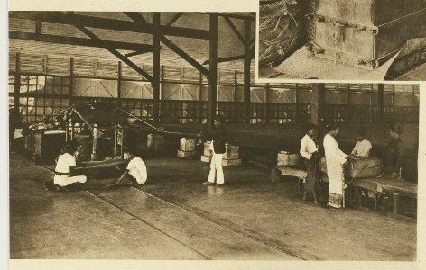 KITLV - 26929 - Kleingrothe, C.J. - Medan - Pressing and packaging of tobacco, East Coast of Sumatra - circa 1905