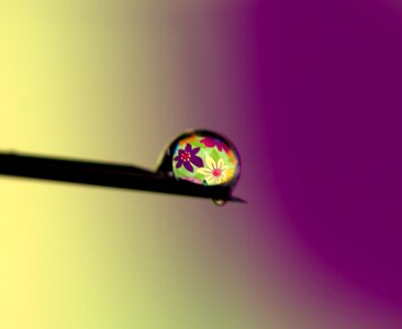 Reflection coloring macro