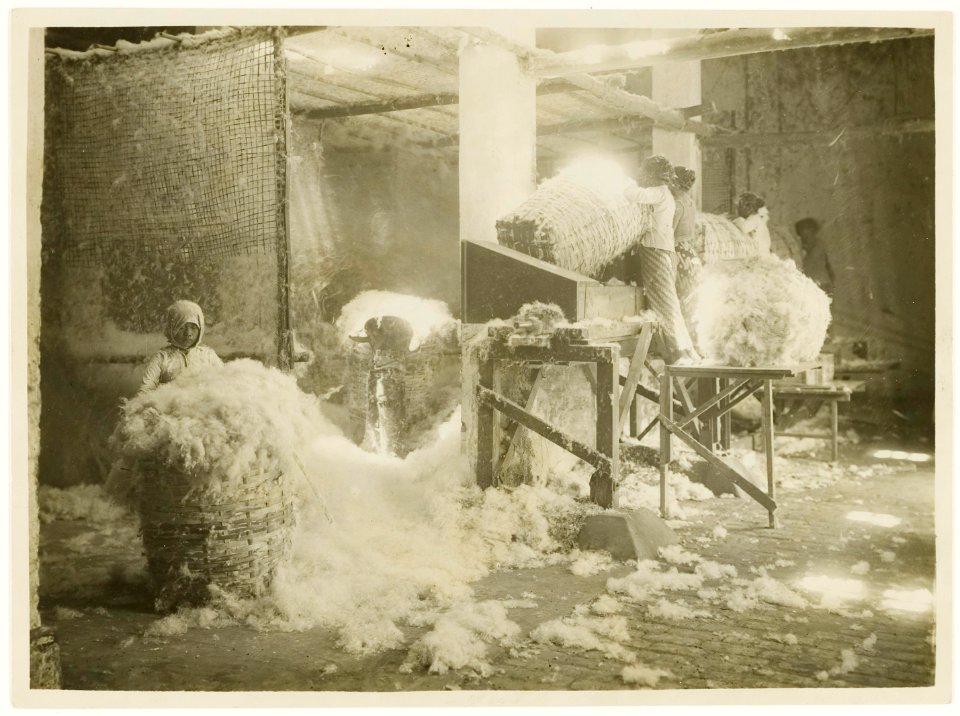 KITLV - 28614 - Kurkdjian, N.V. Photografisch Atelier O. - Soerabaja - Mechanized stoning of kapok, Java - circa 1912