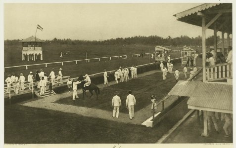 KITLV - 26875 - Kleingrothe, C.J. - Medan - Racetrack at Medan, Sumatra - circa 1905