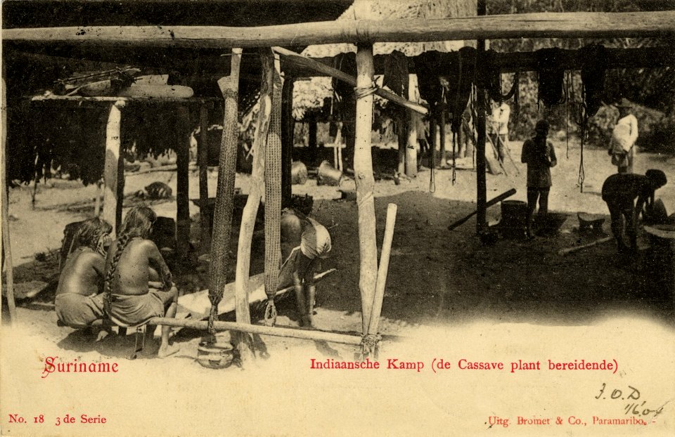 KITLV - 1405738 - Surinam Indian Camp (preparing the cassava plant) - 1895-1904