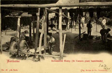 KITLV - 1405738 - Surinam Indian Camp (preparing the cassava plant) - 1895-1904