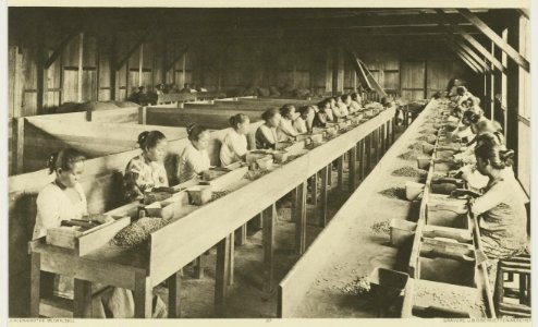 KITLV - 26927 - Kleingrothe, C.J. - Medan - Coffee establishment Greahan at Bangunpurba, East Coast of Sumatra - circa 1905