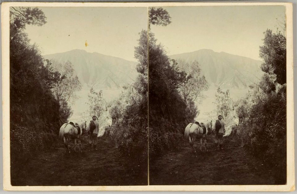 KITLV - 28596 - Kurkdjian, Ohannes - Soerabaja - Mountain trail with a view of the sea of sand in the Tengger Mountains - circa 1910