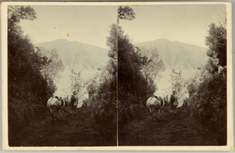 KITLV - 28596 - Kurkdjian, Ohannes - Soerabaja - Mountain trail with a view of the sea of sand in the Tengger Mountains - circa 1910