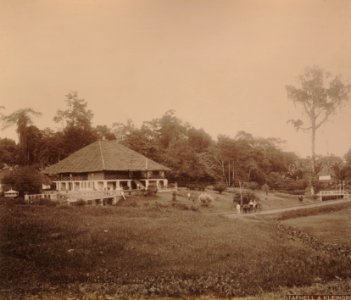 KITLV - 111181 - Stafhell & Kleingrothe - Private tobacco company Arendsburg, Sungai Bras in Deli - 1886-1892