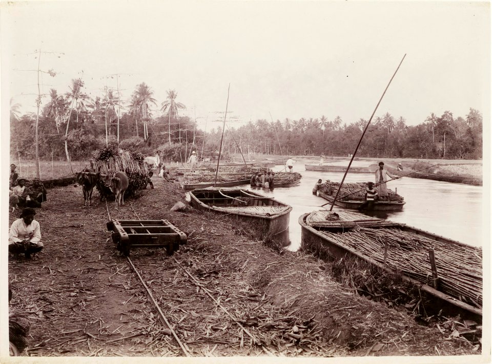 KITLV - 30210 - Kurkdjian, N.V. Photografisch Atelier - Soerabaja - After the sugar cane is transported by lorry to the river, it is shipped for further processing to the factory. Sugar company in East Java - 1921