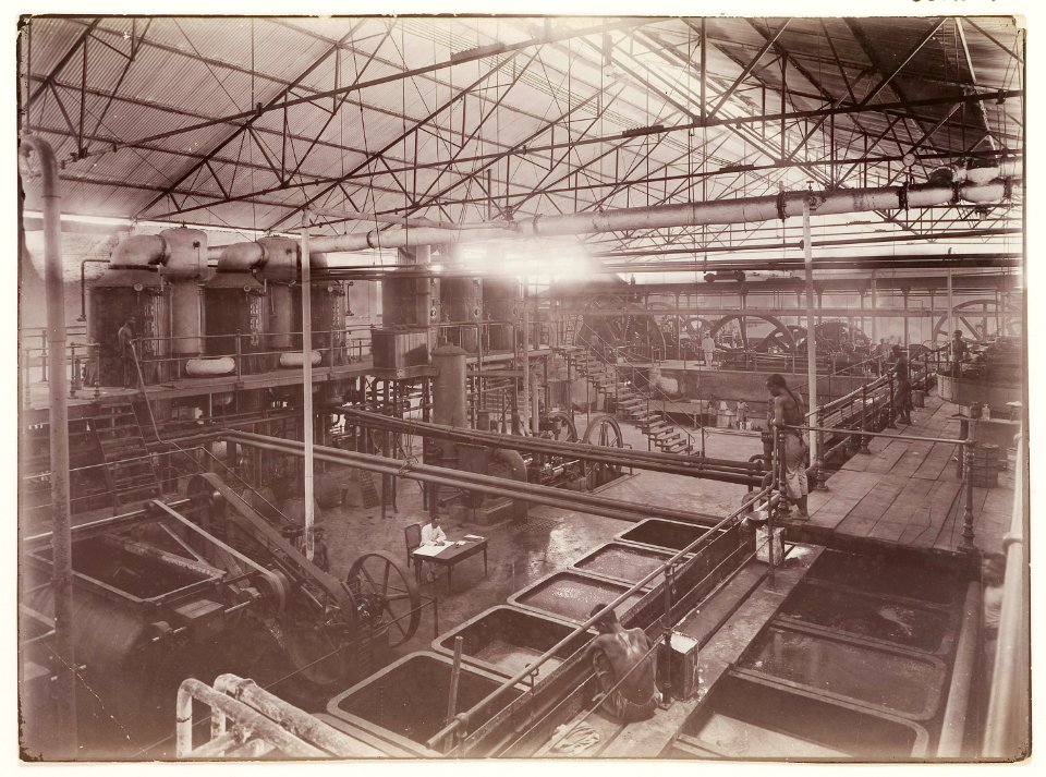 KITLV - 30214 - Kurkdjian, N.V. Photografisch Atelier - Soerabaja - Sugar plantation in East Java - 1921