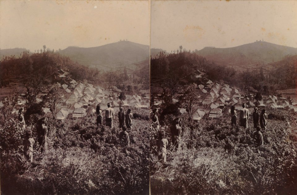 KITLV - 154568 - Kurkdjian, Ohannes - Soerabaya - Houses at Tosari in the Tengger Mountains - circa 1910