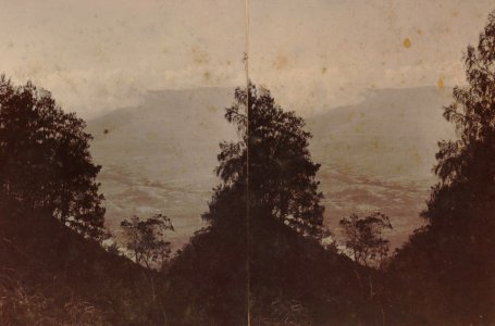 KITLV - 154576 - Kurkdjian, Ohannes - Soerabaya - Valley, probably in Java - circa 1910