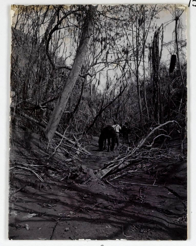 KITLV - 15677 - Kurkdjian, Ohannes - Devastation after the eruption of Gunung Kelud, East Java - 1901