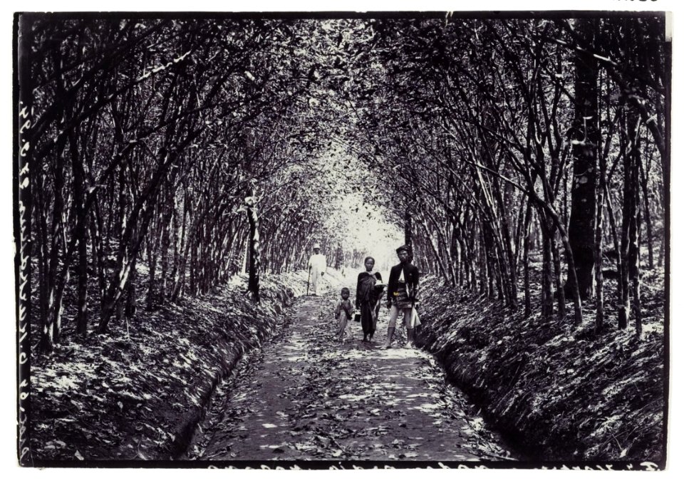 KITLV - 34288 - Kurkdjian, N.V. Photografisch Atelier O. - Soerabaja - Native family. In their back a European in a narrow road, probably in the vicinity of Surabaya - circa 1910