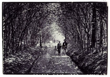KITLV - 34288 - Kurkdjian, N.V. Photografisch Atelier O. - Soerabaja - Native family. In their back a European in a narrow road, probably in the vicinity of Surabaya - circa 1910
