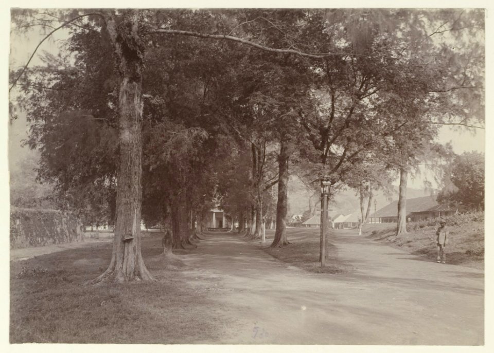 KITLV - 2961 - Kurkdjian - Soerabaja - Kerklaan at Banda - circa 1901
