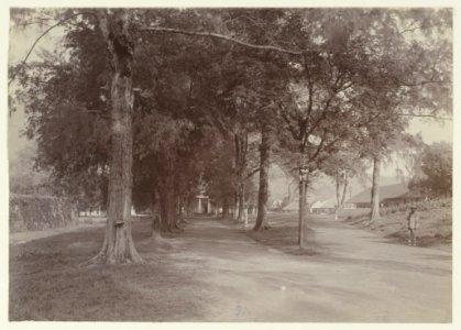 KITLV - 2961 - Kurkdjian - Soerabaja - Kerklaan at Banda - circa 1901