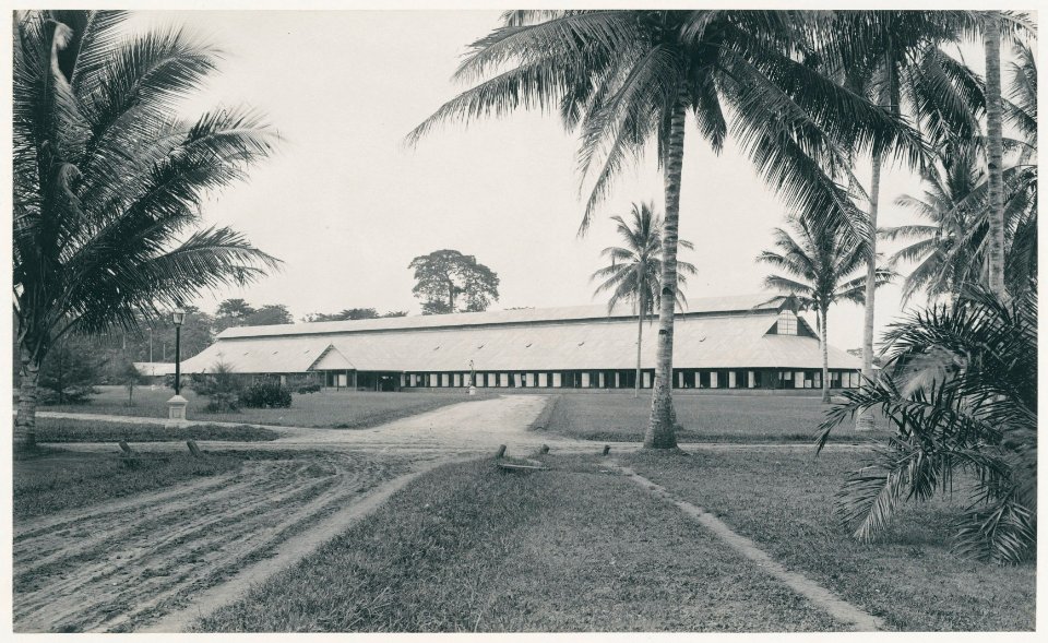 KITLV - 12596 - Kleingrothe, C.J. - Medan - Fermentation barn on tobacco plantation Tanjung Morawa (Tandjoeng-Morawa) near Batangkuwis in Deli - 1903