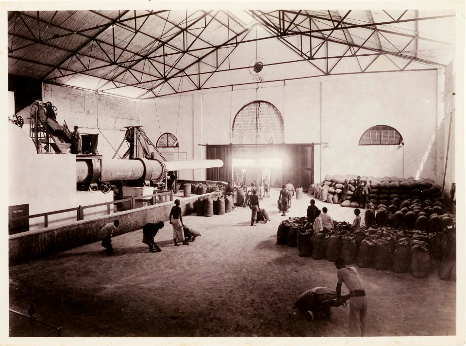 KITLV - 30195 - Kurkdjian, N.V. Photografisch Atelier - Soerabaja - Sugar plantation in East Java - 1921