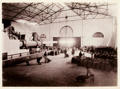 KITLV - 30195 - Kurkdjian, N.V. Photografisch Atelier - Soerabaja - Sugar plantation in East Java - 1921