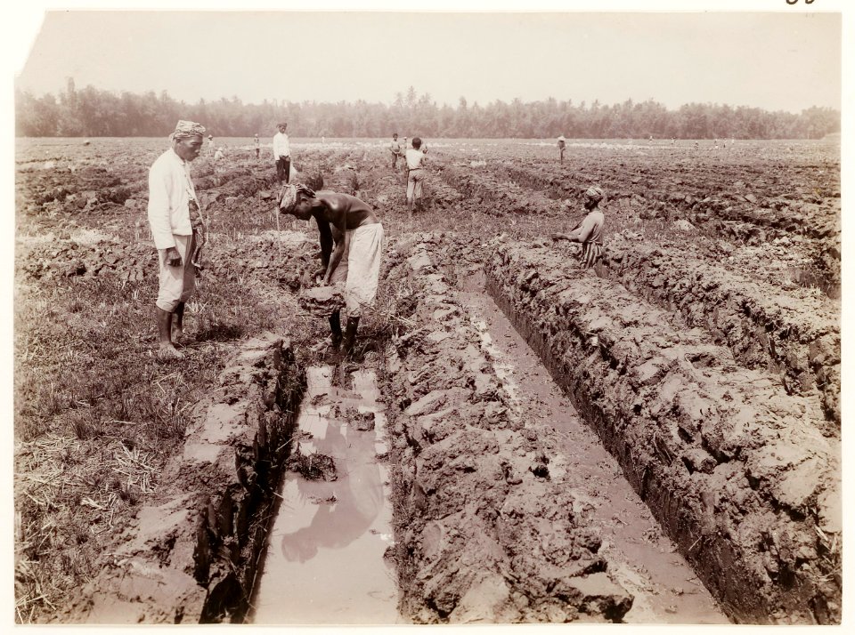 KITLV - 30199 - Kurkdjian, N.V. Photografisch Atelier - Soerabaja - Sugar company in East Java - 1921
