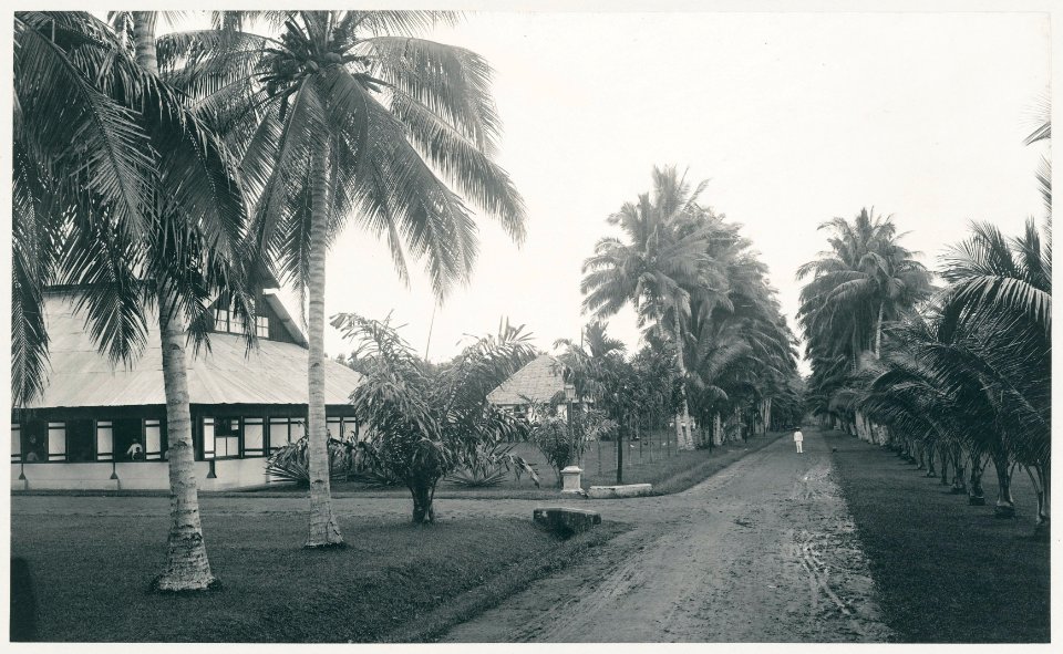 KITLV - 12608 - Kleingrothe, C.J. - Medan - Tobacco plantation at Patoembah in Deli - 1903