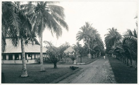 KITLV - 12608 - Kleingrothe, C.J. - Medan - Tobacco plantation at Patoembah in Deli - 1903