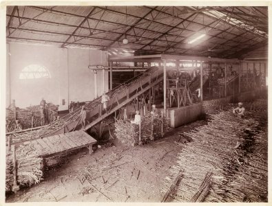 KITLV - 30212 - Kurkdjian, N.V. Photografisch Atelier - Soerabaja - Sugar plantation in East Java - 1921