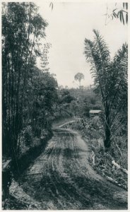 KITLV - 12612 - Kleingrothe, C.J. - Medan - Road to the quarry at Si Taboo Taboo at Gunungrintih in Deli - 1903