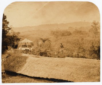 KITLV - 16060 - Junghuhn, Franz Wilhelm (1809-1864) - Warehouses, presumably for Cinchona of Philippean at Lembang near Bandung - circa 1860