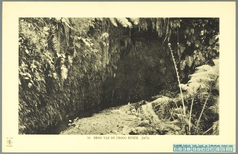 KITLV - 37380 - Demmeni, J. - Tulp, De - Haarlem - The source of the Progo River, Java - 1911