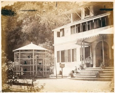 KITLV - 12672 - Sidewalk behind the Government House in Paramaribo - circa 1890