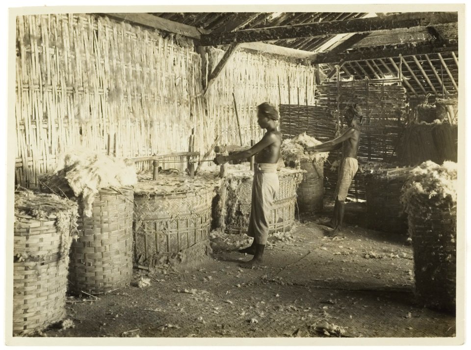KITLV - 34589 - Kurkdjian, N.V. Photografisch Atelier - Soerabaja - Kapok is pressed into baskets, Java - circa 1920