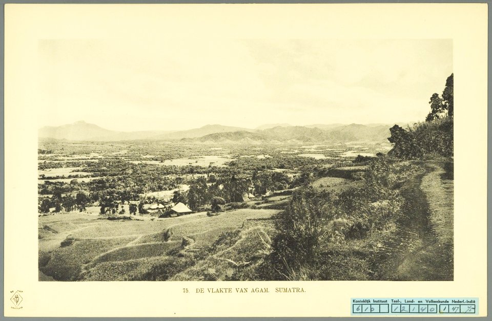 KITLV - 37404 - Demmeni, J. - Tulp, De - Haarlem - The plain of Agam - 1911