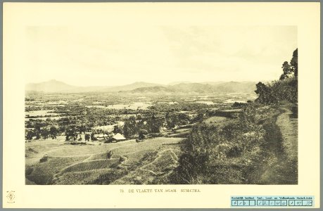KITLV - 37404 - Demmeni, J. - Tulp, De - Haarlem - The plain of Agam - 1911