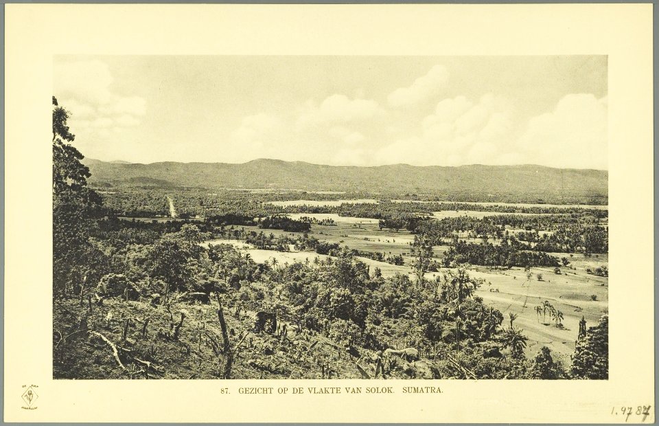 KITLV - 37416 - Demmeni, J. - Tulp, De - Haarlem - View of the plain of Solok - 1911