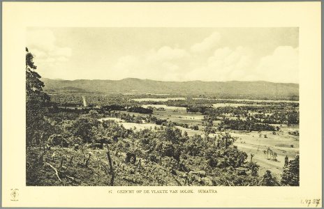 KITLV - 37416 - Demmeni, J. - Tulp, De - Haarlem - View of the plain of Solok - 1911
