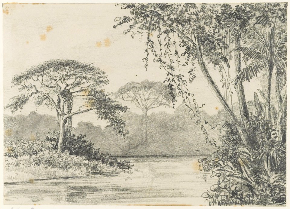 KITLV - 36C191 - Borret, Arnoldus Hyacinthus Aloysius Hubertus Maria - In the Paulus Creek, Surinam - circa 1880