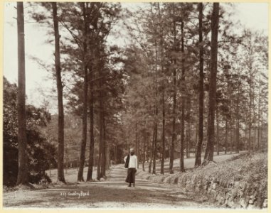 KITLV - 3707 - Lambert & Co., G.R. - Singapore - Man on the road to the fort on Riau (Tanjung Pinang) - circa 1895