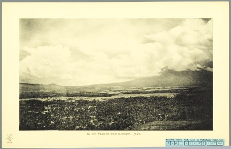 KITLV - 37350 - Demmeni, J. - Tulp, De - Haarlem - Landscape near Garut - 1911