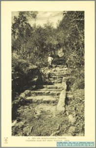 KITLV - 37378 - Demmeni, J. - Tulp, De - Haarlem - Terrasweg (Terrace road) to the Dieng plateau - 1911