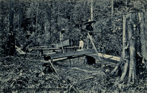 KITLV - 1405466 - Kleingrothe, C.J. - Medan - Chinese board sawyer in the virgin forest - circa 1900