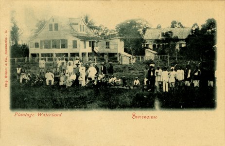 KITLV - 1405632 - Bromet & Co. - Paramaribo - Plantation Waterland Surinam - 1895-1910
