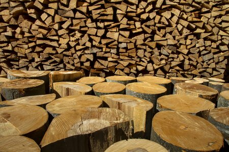 Firewood stacked up wood stack photo