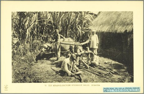 KITLV - 37402 - Demmeni, J. - Tulp, De - Haarlem - Minangkabau cane mill - 1911