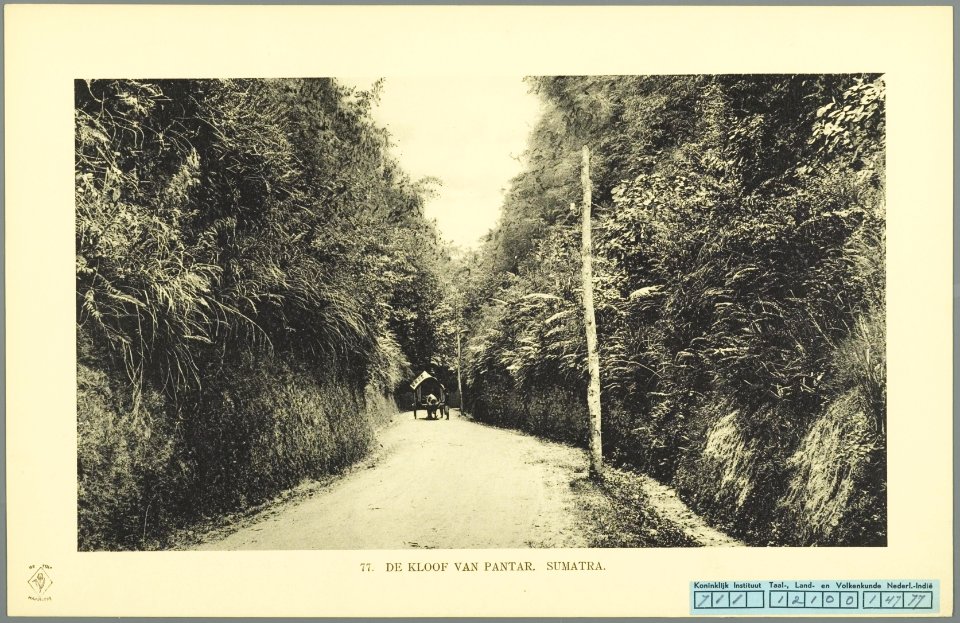 KITLV - 37406 - Demmeni, J. - Tulp, De - Haarlem - The gap of Pantar on Sumatra's west coast - 1911
