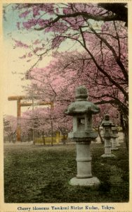 KITLV - 1405777 - Cherry blossoms Yasukuni Shrine Kudan, Tokyo. - 1900-1925