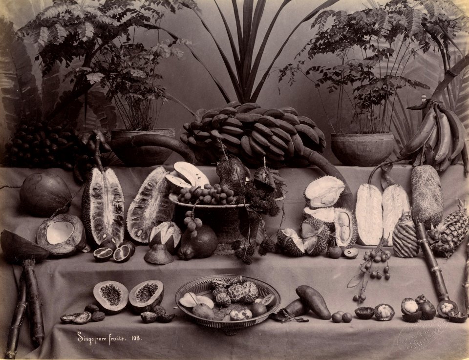 KITLV - 183716 - Lambert & Co., G.R. - Singapore - Still life of fruits at Singapore - circa 1885