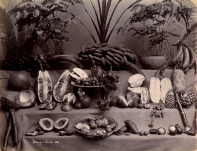 KITLV - 183716 - Lambert & Co., G.R. - Singapore - Still life of fruits at Singapore - circa 1885 photo