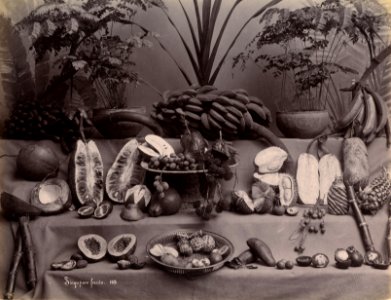 KITLV - 183716 - Lambert & Co., G.R. - Singapore - Still life of fruits at Singapore - circa 1885