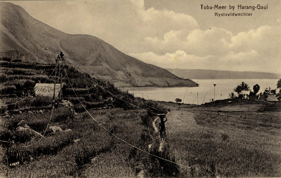 KITLV - 1405915 - Kleingrothe, C.J. - Medan - Lake Toba near Haranggaul. Man guarding a rice field against birds - 1900-1910